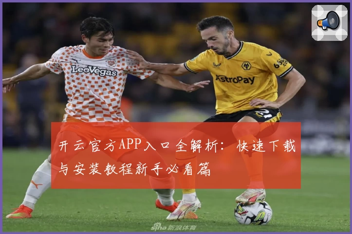 开云官方APP入口全解析：快速下载与安装教程新手必看篇